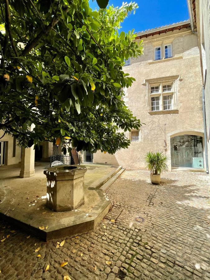 Appartement Aux Pieds Du Palais Des Papes. Αβινιόν Εξωτερικό φωτογραφία